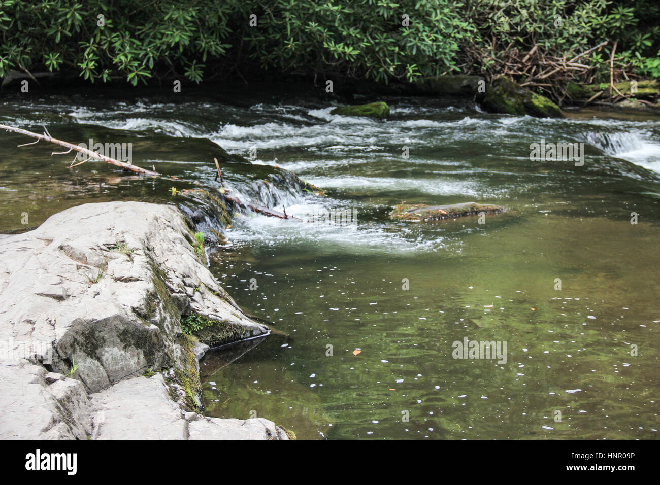 Acqua più rapide in Smoky Mountains National Park in Tennessee Foto Stock