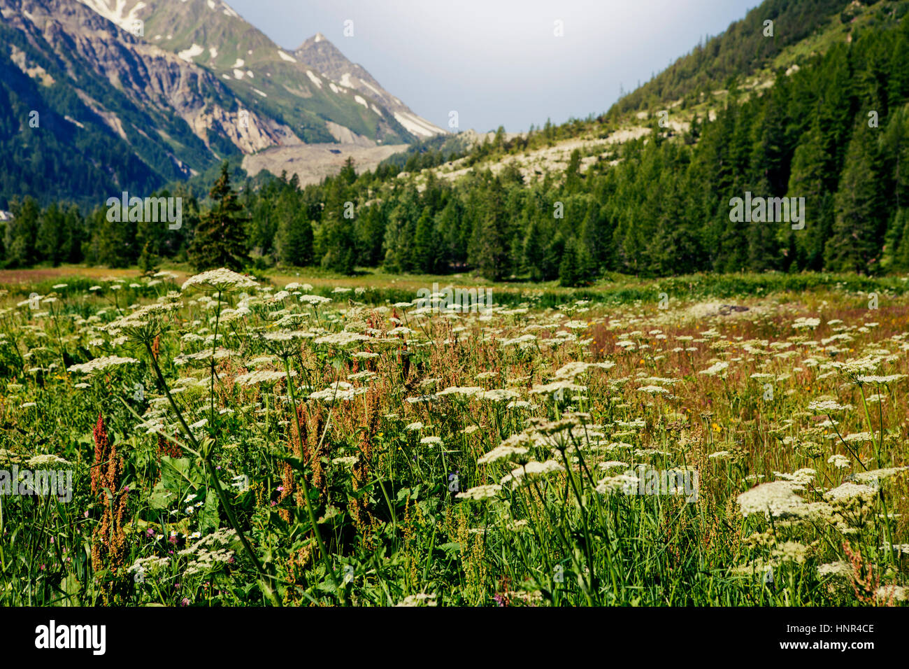 La Val Veny, Mont Blanc paesaggio, Valle d'Aosta, Italia Foto Stock