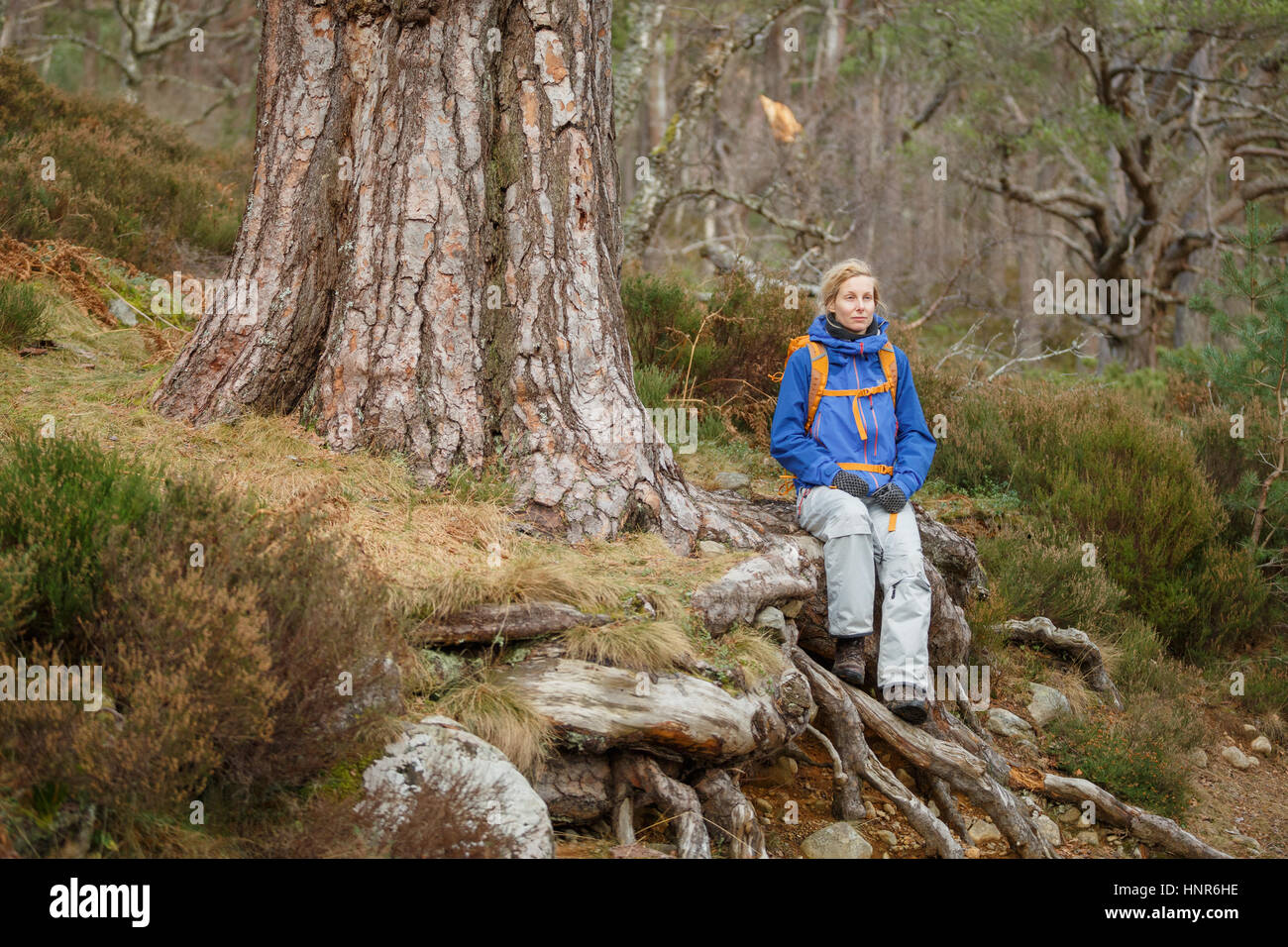 Una donna si siede nella foresta durante una escursione Foto Stock