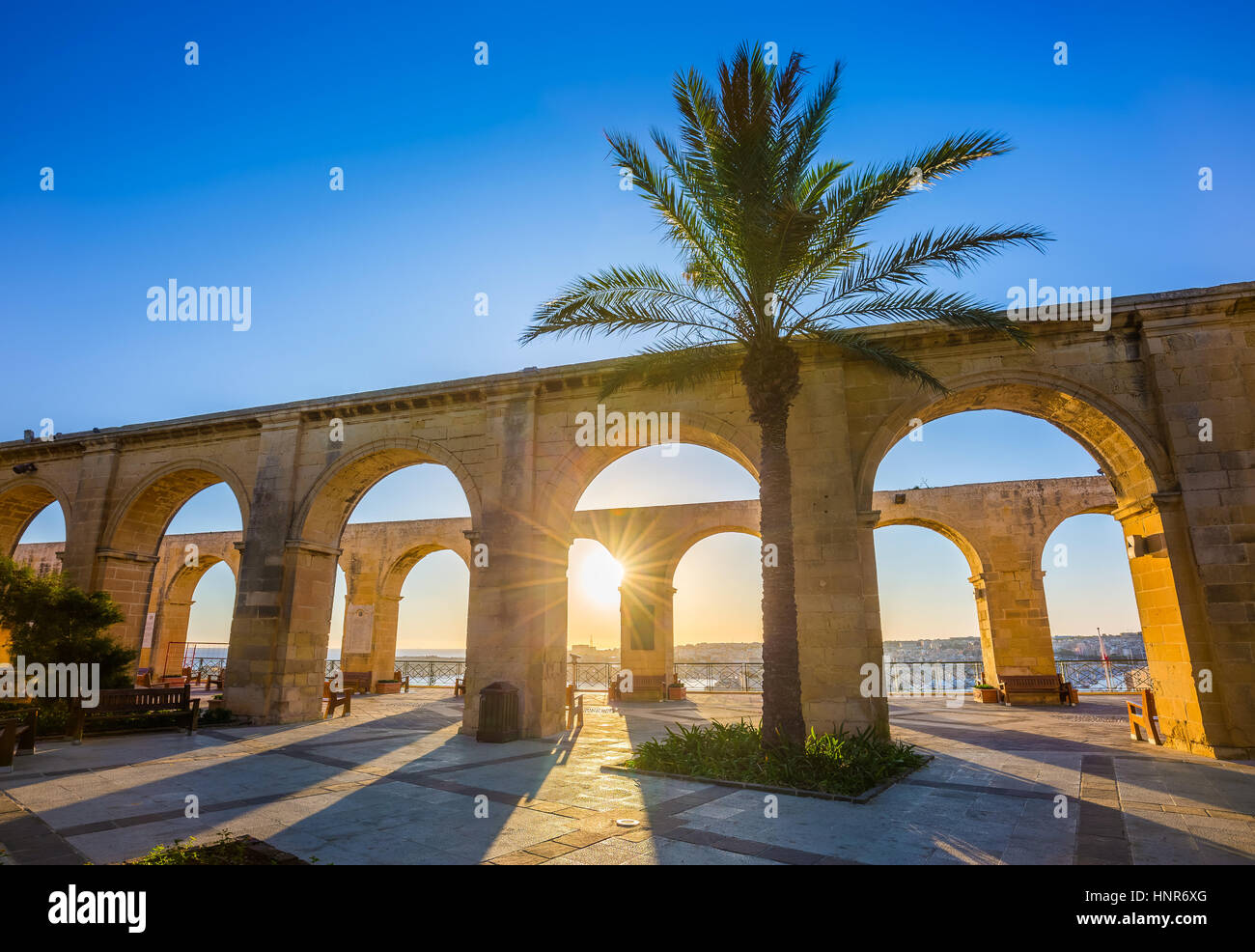 La Valletta, Malta - Palm tree in cima di la Valletta all'alba con cielo blu Foto Stock