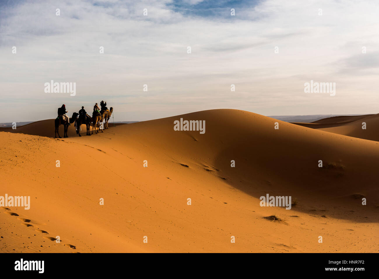 Deserto del Sahara in Marocco Foto Stock