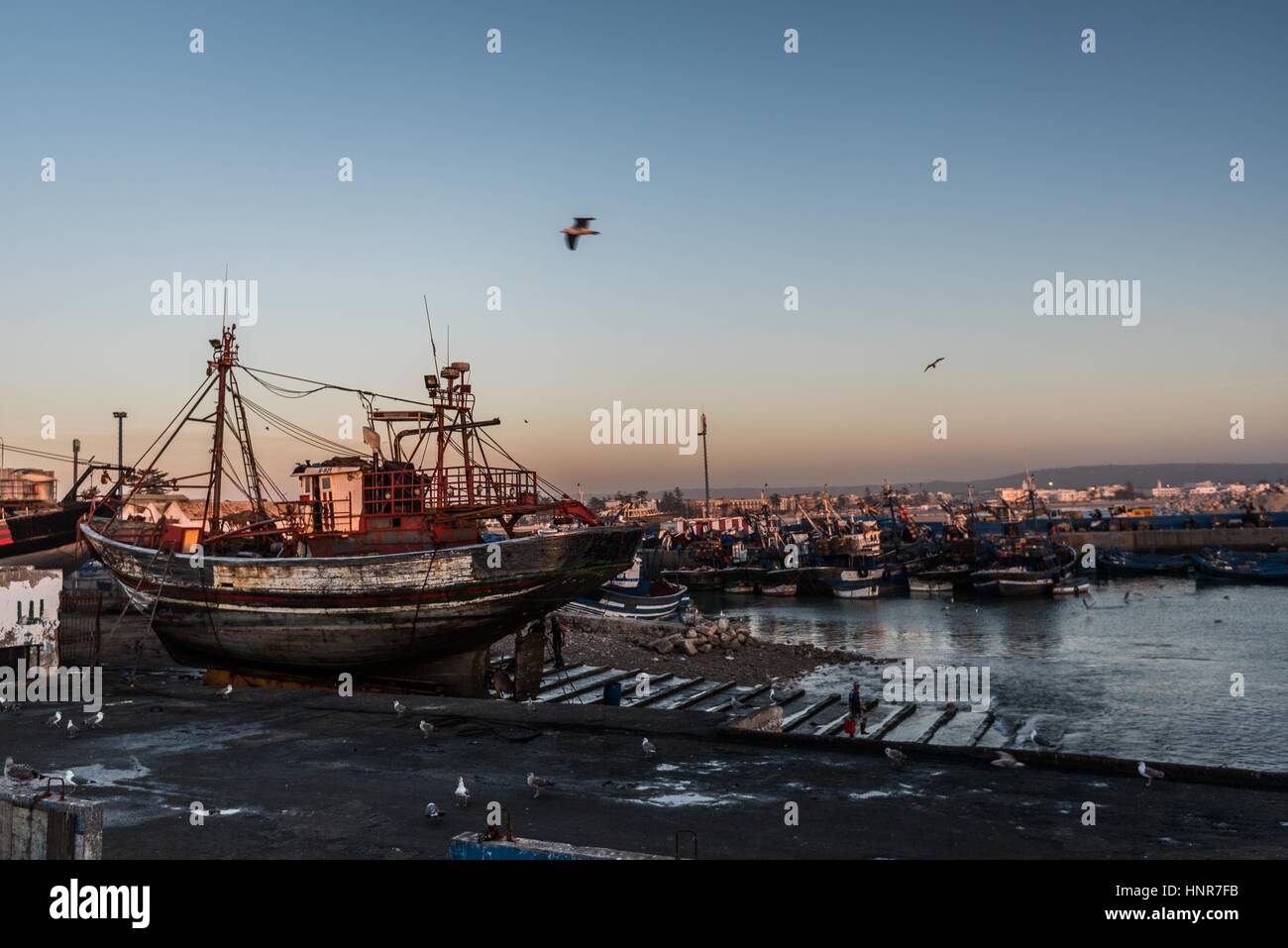 Un colpo di Essaouira porto Foto Stock