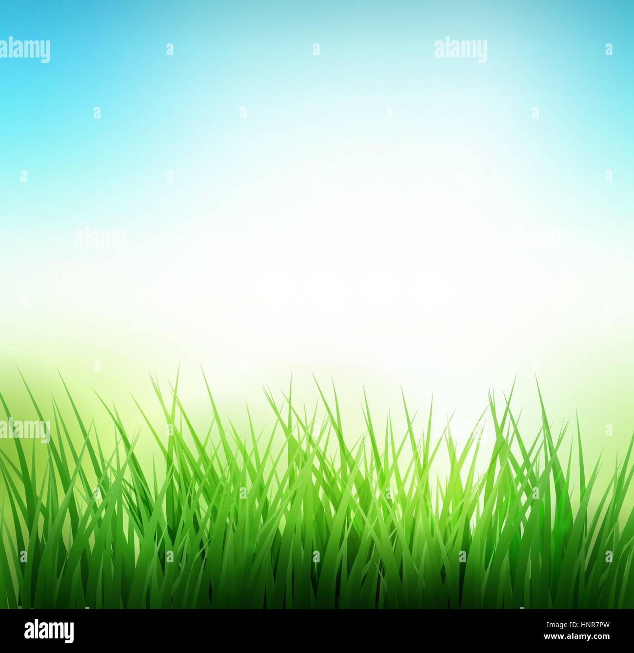 Naturale di erba verde dello sfondo. Illustrazione Vettoriale. EPS 10 Illustrazione Vettoriale