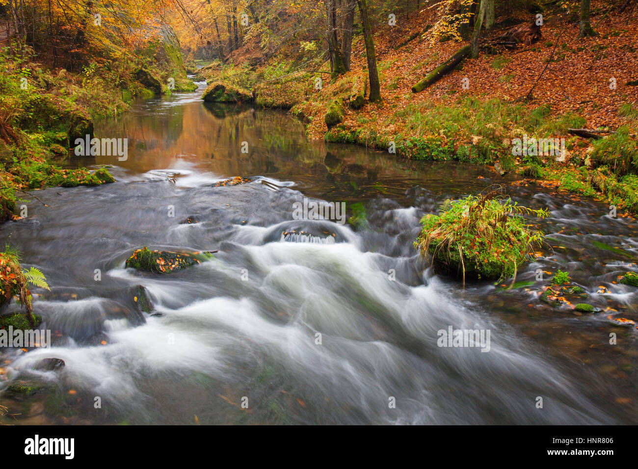 Kamnitz Gorge / Soutěsky Kamenice in Svizzera boema in autunno, Ústí nad Labem Regione / regione Ústecký, Repubblica Ceca Foto Stock