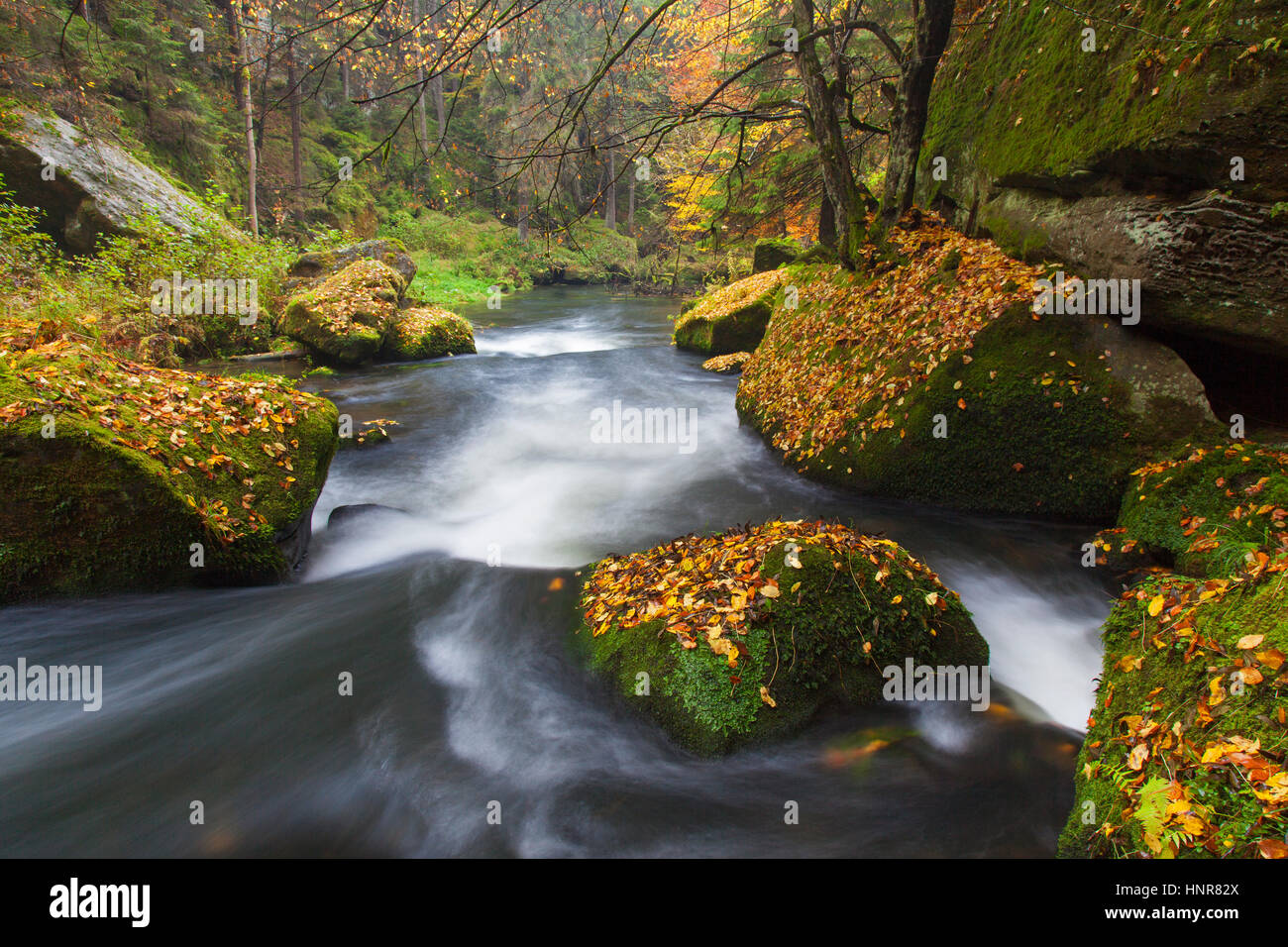 Kamnitz Gorge / Soutěsky Kamenice in Svizzera boema in autunno, Ústí nad Labem Regione / regione Ústecký, Repubblica Ceca Foto Stock