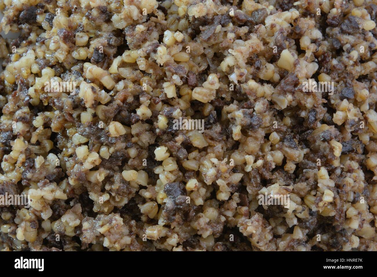 Close-up di un tradizionale cotto haggis scozzese Foto Stock
