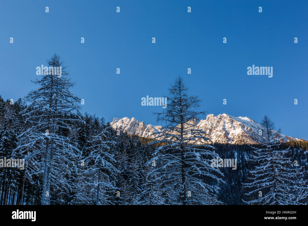 Paesaggio invernale, Stubenalm, foresta, montagna, Nationalpark Berchtesgaden, Baviera, Germania Foto Stock