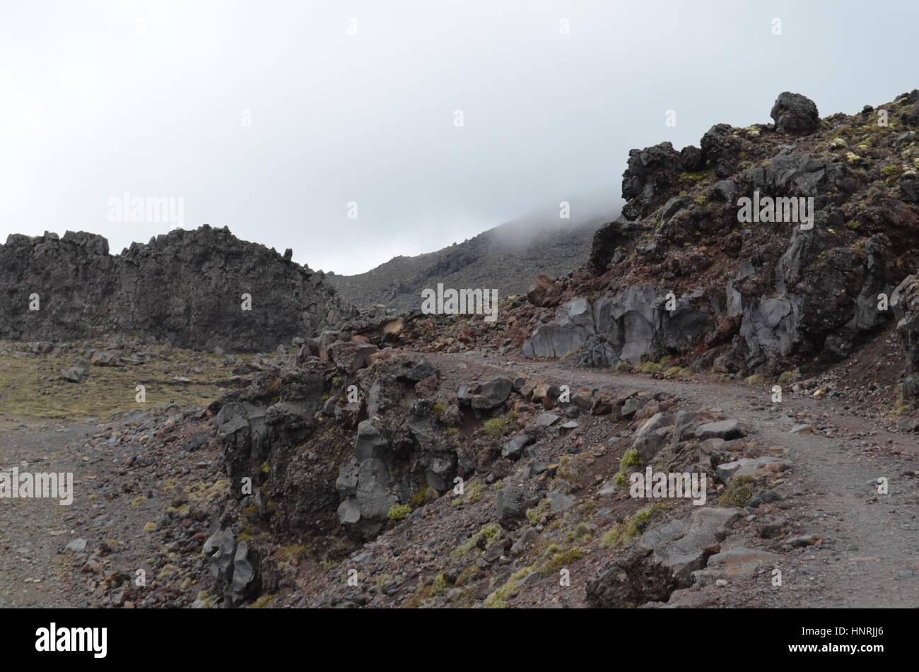 Terreno roccioso a Mt Ruapehu, Nuova Zelanda Foto Stock