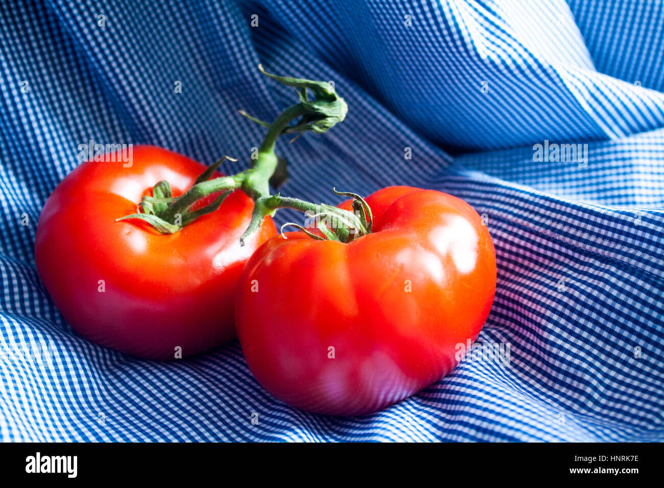 Due mature pomodori rossi su un blu e bianco plaid tessuto Foto Stock