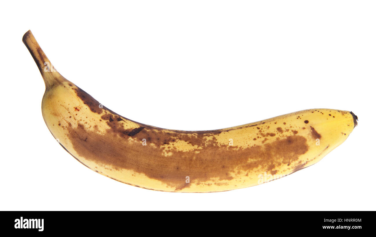 Un unico più mature marciume banana isolato su sfondo bianco. Banane Cavendish sono i più comuni dessert banane vendute Foto Stock