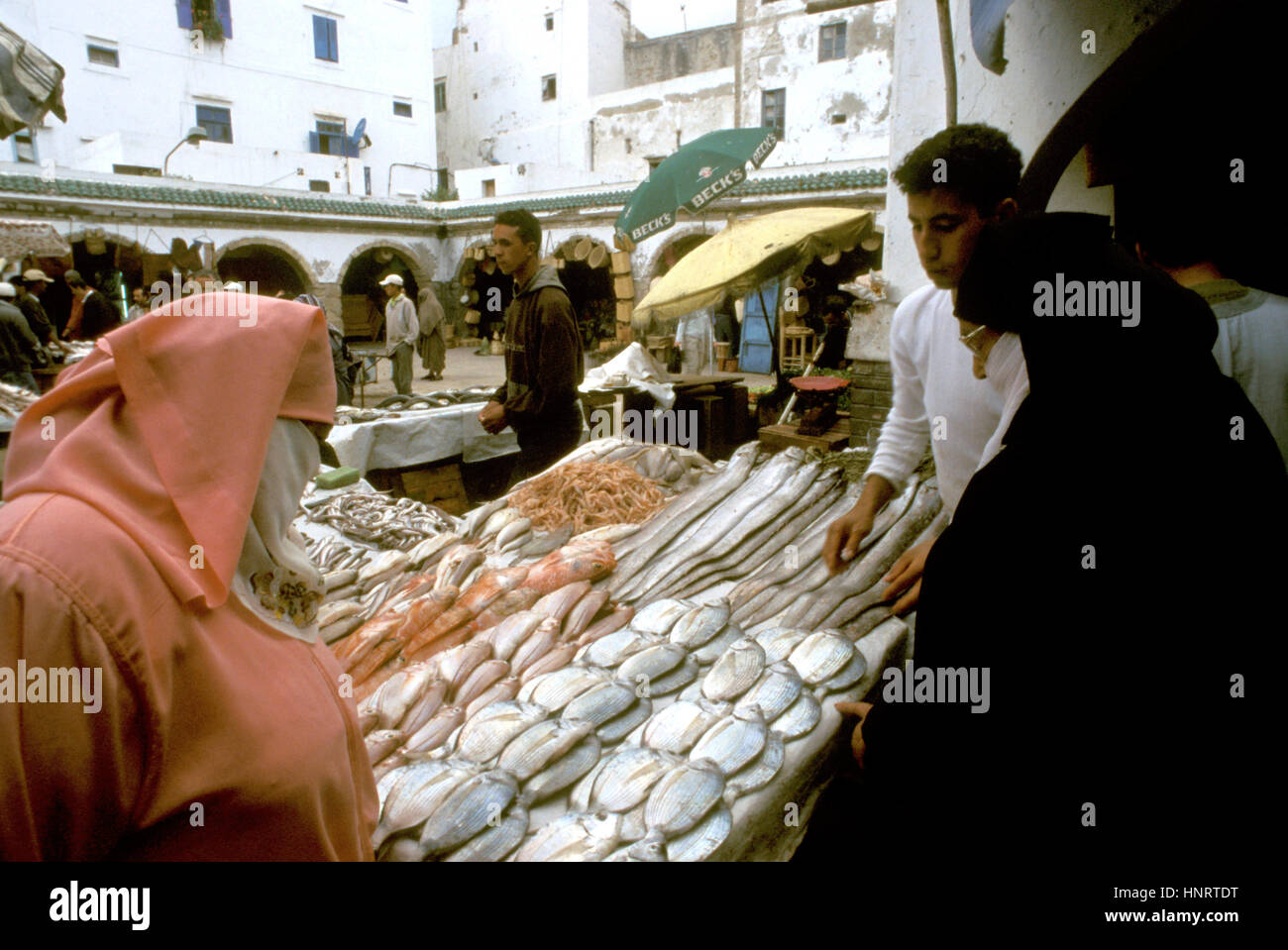 Mercato del pesce nel souk all'interno della Medina di Essaouira Costa Atlantica, Marocco, Africa Settentrionale, Africa Foto Stock