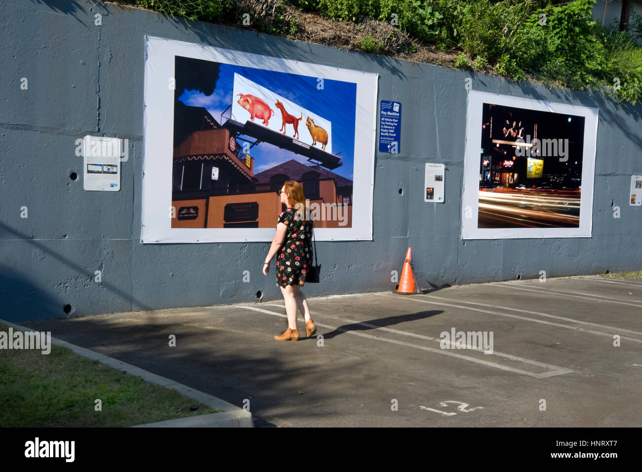 Los Angeles, Stati Uniti d'America. 14 febbraio 2017. Nuova installazione di arte all'aperto presentano presso il West Hollywood parcheggio sulla Sunset Strip di Los Angeles con Robert Landau le foto di documentare il classico dipinte a mano cartelloni rock degli anni sessanta e settanta. Credito: Robert Landau/Alamy Live News Foto Stock