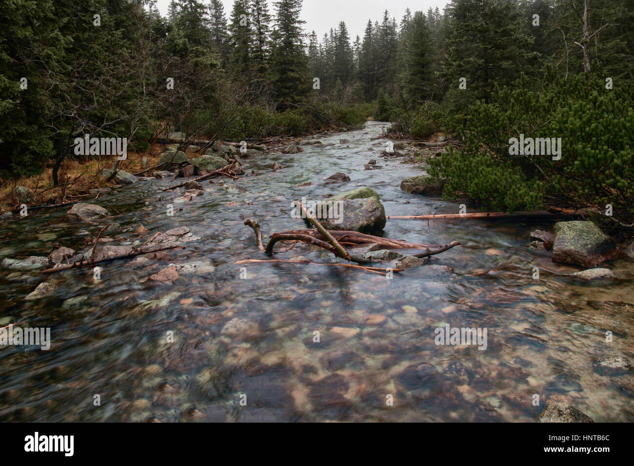 Fiume di montagna in 5 laghi della valle di Tatra, Polonia. Foto Stock