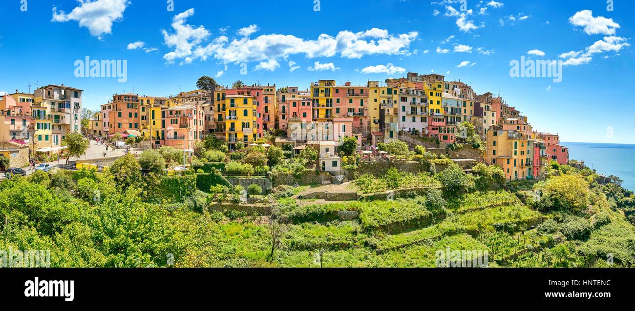 Panorama di Croniglia, Cinque Terre Liguria, Italia Foto Stock