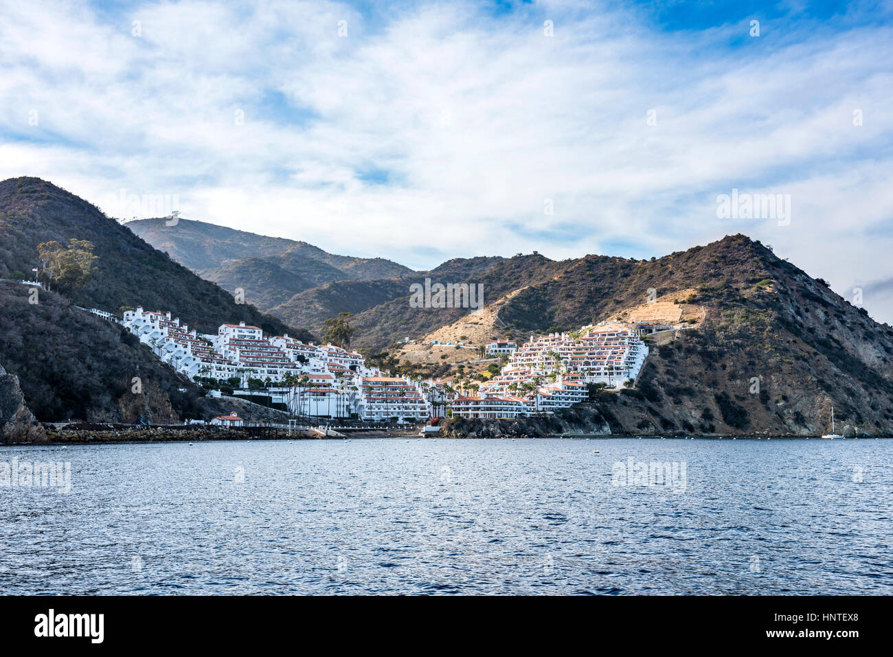 Isola Catalina's Hamilton Cove è ospite di una comunità di condomini abbracciando l'Oceano Pacifico costa. Foto Stock