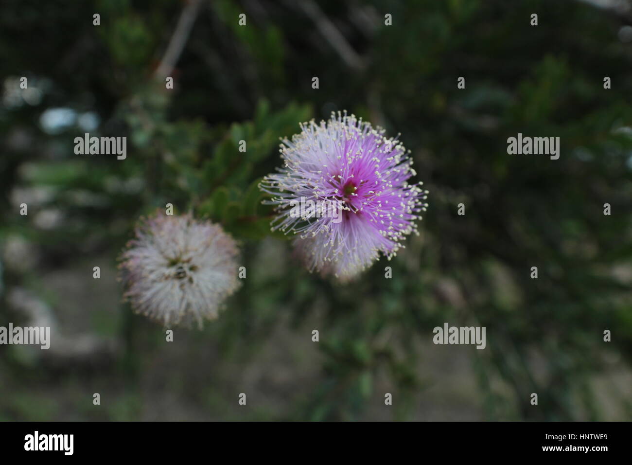 La maggior parte delle quali con piccolo dettaglio e alcuni solo per il vibe ma altri dicono di più di una semplice storie Foto Stock