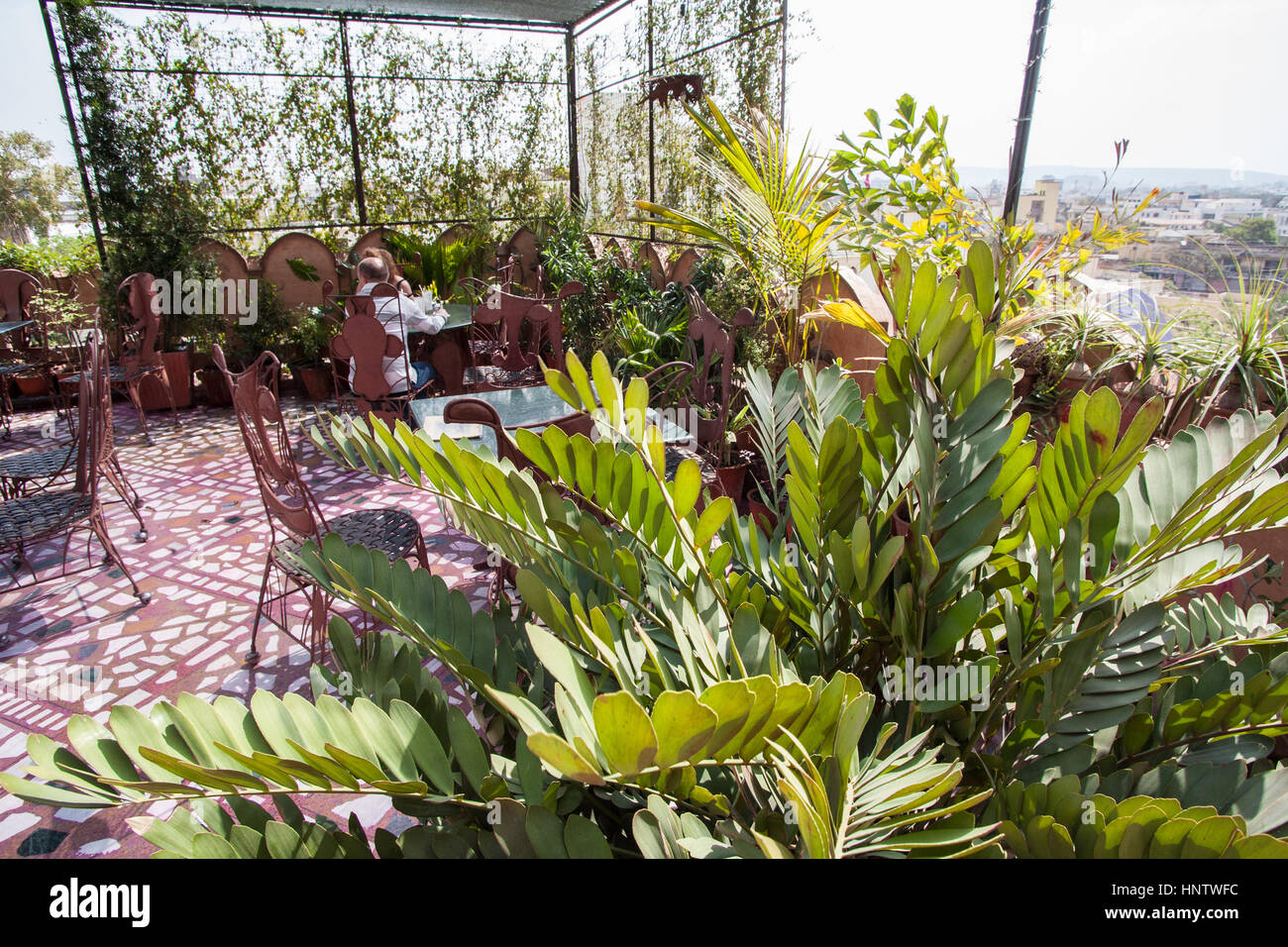 Popolari bilancio backpacker hotel,Hotel Pearl Palace,che ha un sacco di artwork e una terrazza sul tetto per bibite,i pasti nella Città Rosa,Jaipur Rajasthan,l'India. Foto Stock