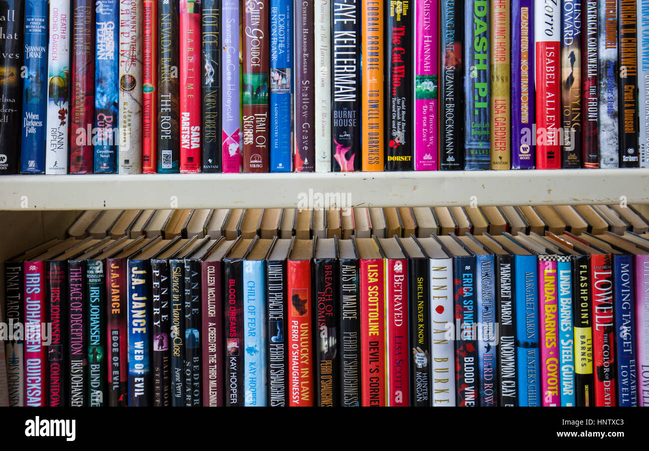 Scaffali di libri Foto Stock