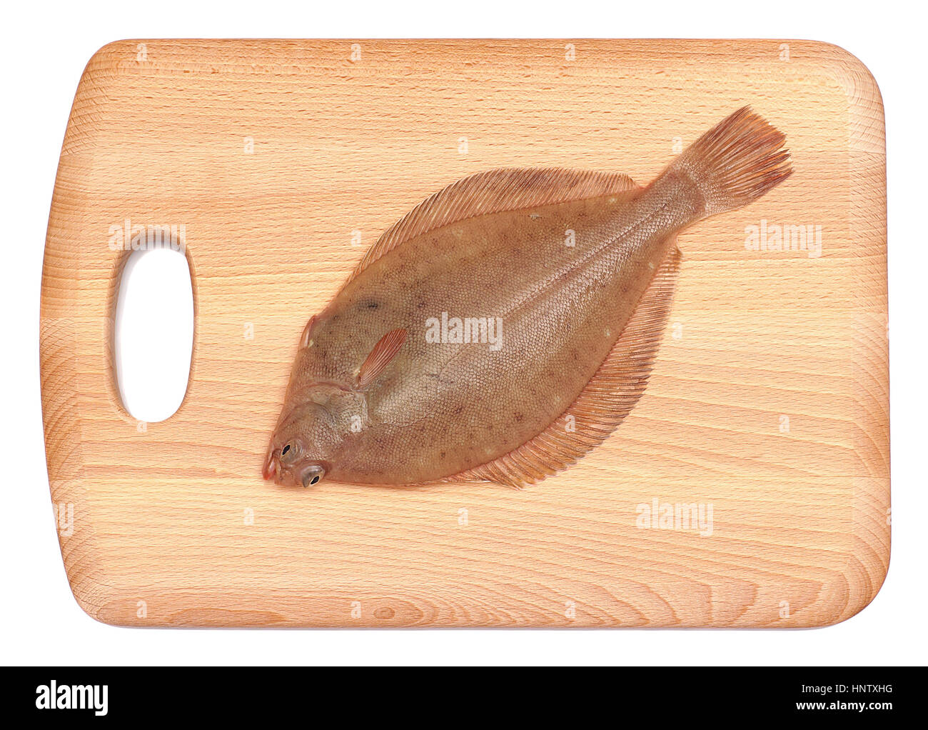 Intero fresco pesce Dab posa su legno blocco Chopping Board isolati su sfondo bianco Foto Stock