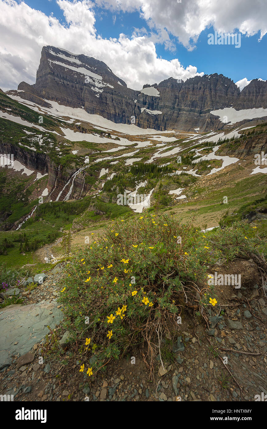 Bella fotografia landscpae nel Glacier National Park Montana Foto Stock