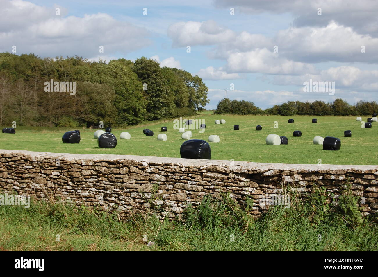 Grandi balle di fieno, avvolte per insilato, in plastica bianca e nera. Sembra che questo contadino del Cotswold voglia giocare a bozze! Foto Stock