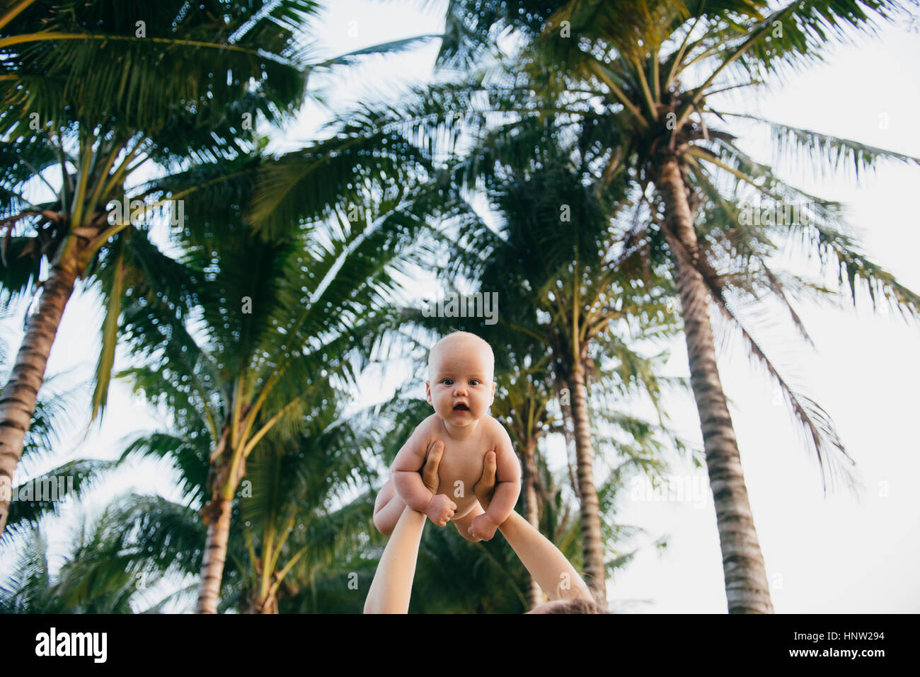 Madre caucasica sollevamento figlia bambino sotto il palm tree Foto Stock