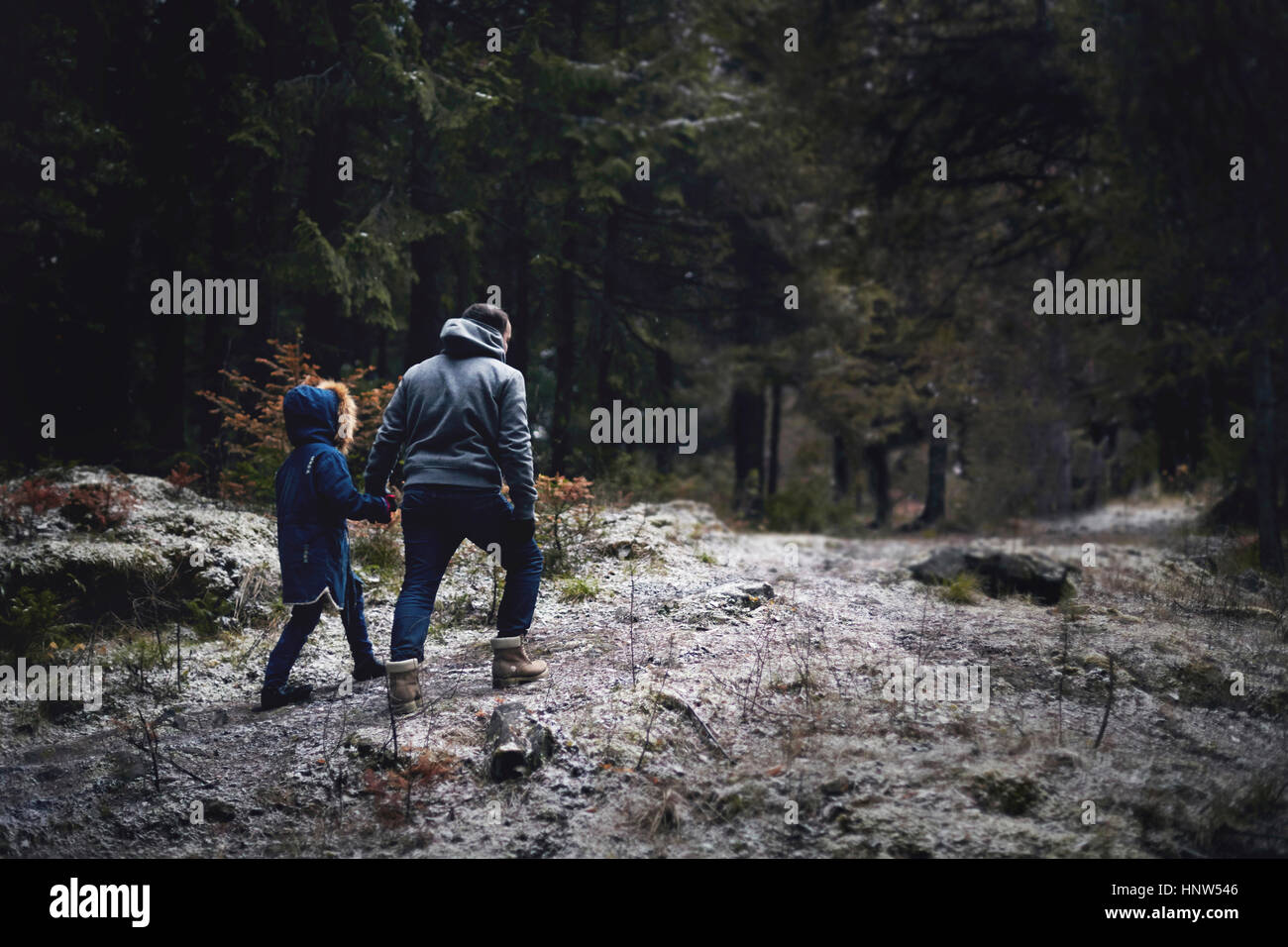 Caucasian padre e figlia a piedi nei boschi Foto Stock