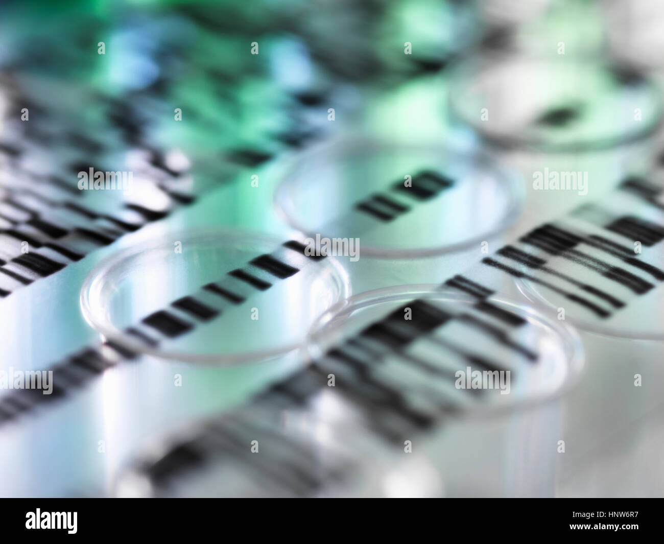 DNA gel autoradiogramma illustrante i risultati genetici posa su una fila di tubi di test in laboratorio Foto Stock