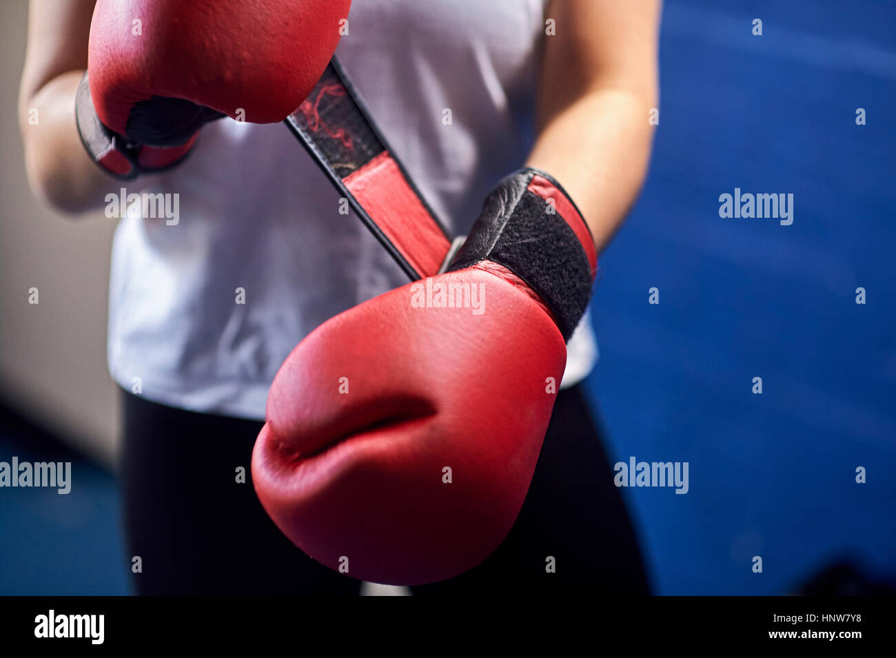 La sezione centrale del boxer femmina rosso di fissaggio guantoni da pugilato Foto Stock