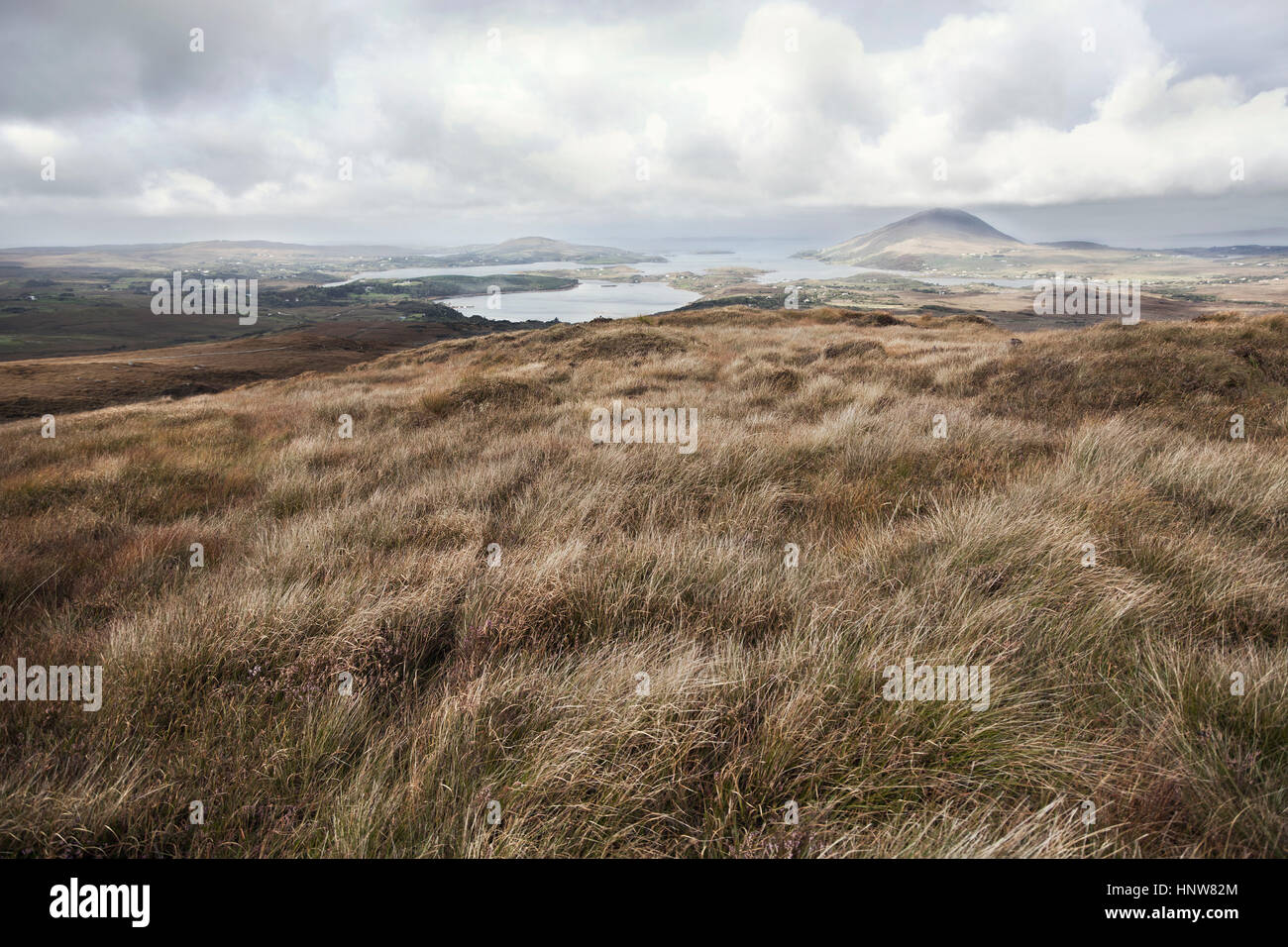 Palustre paesaggio costiero con cielo nuvoloso, Irlanda Foto Stock