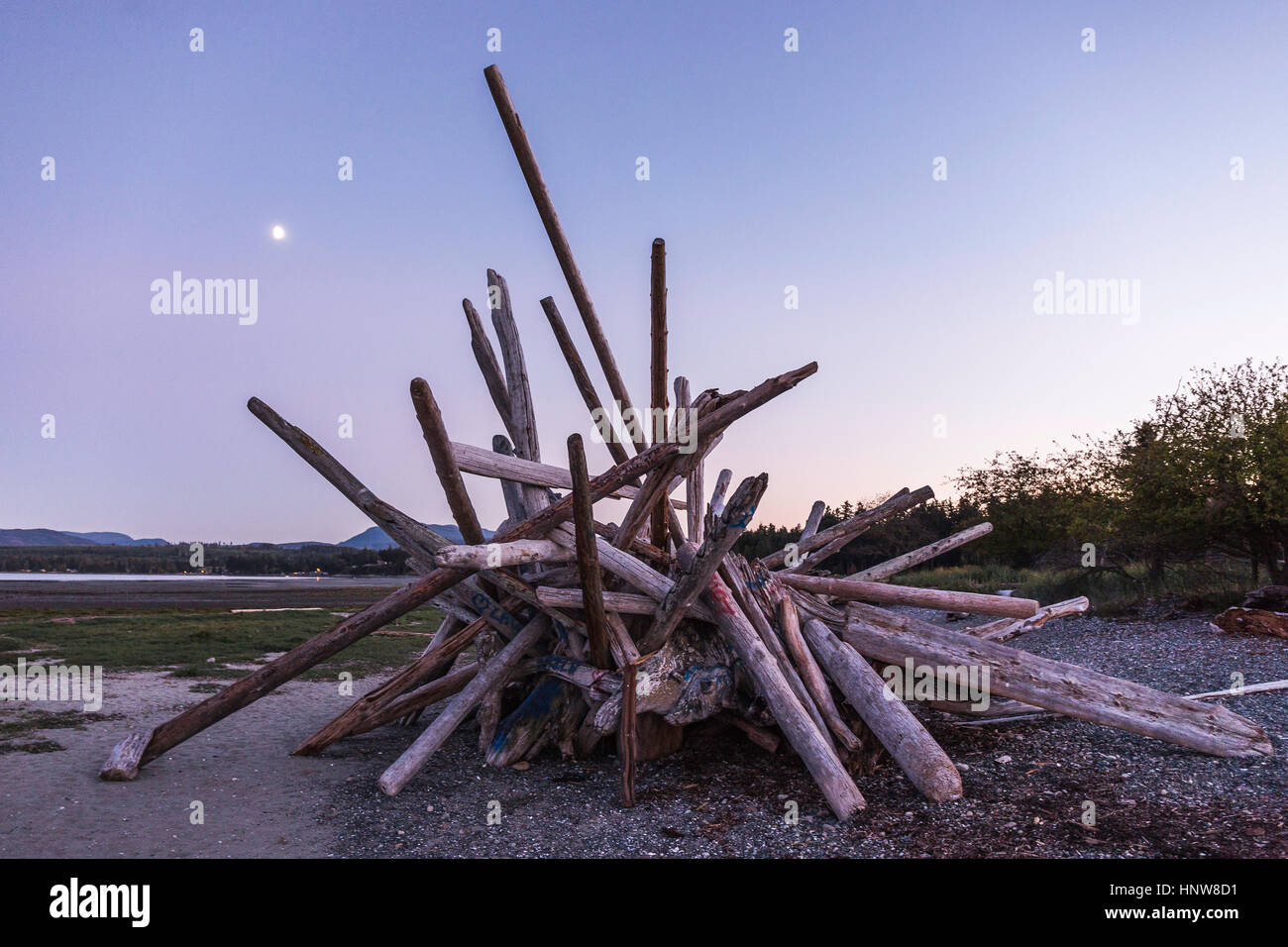 Impilati driftwood log sulla spiaggia al tramonto, Rathrevor Spiaggia Parco Provinciale, Isola di Vancouver, British Columbia, Canada Foto Stock
