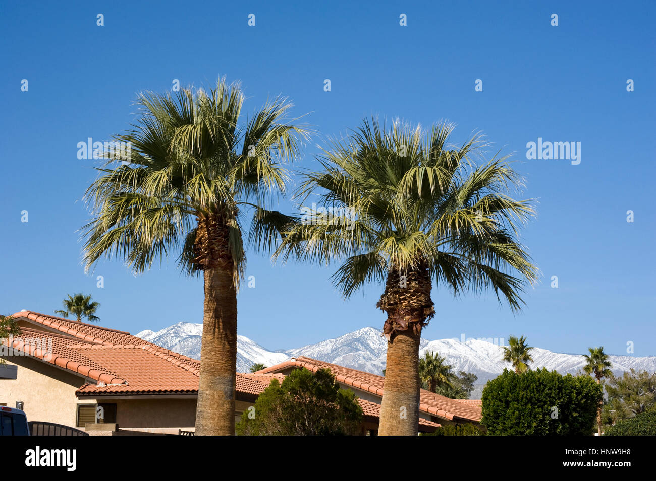 I tetti delle case con palme e neve sulle montagne in Palm Desert Foto Stock