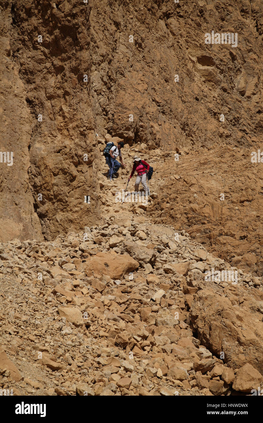 Due senior citizen escursionisti (60s e 70s) scendere con attenzione un ripido e contrassegnato trek verso il basso in un canyon. Nachal Tze'elim, il Deserto della Giudea, Israele Foto Stock