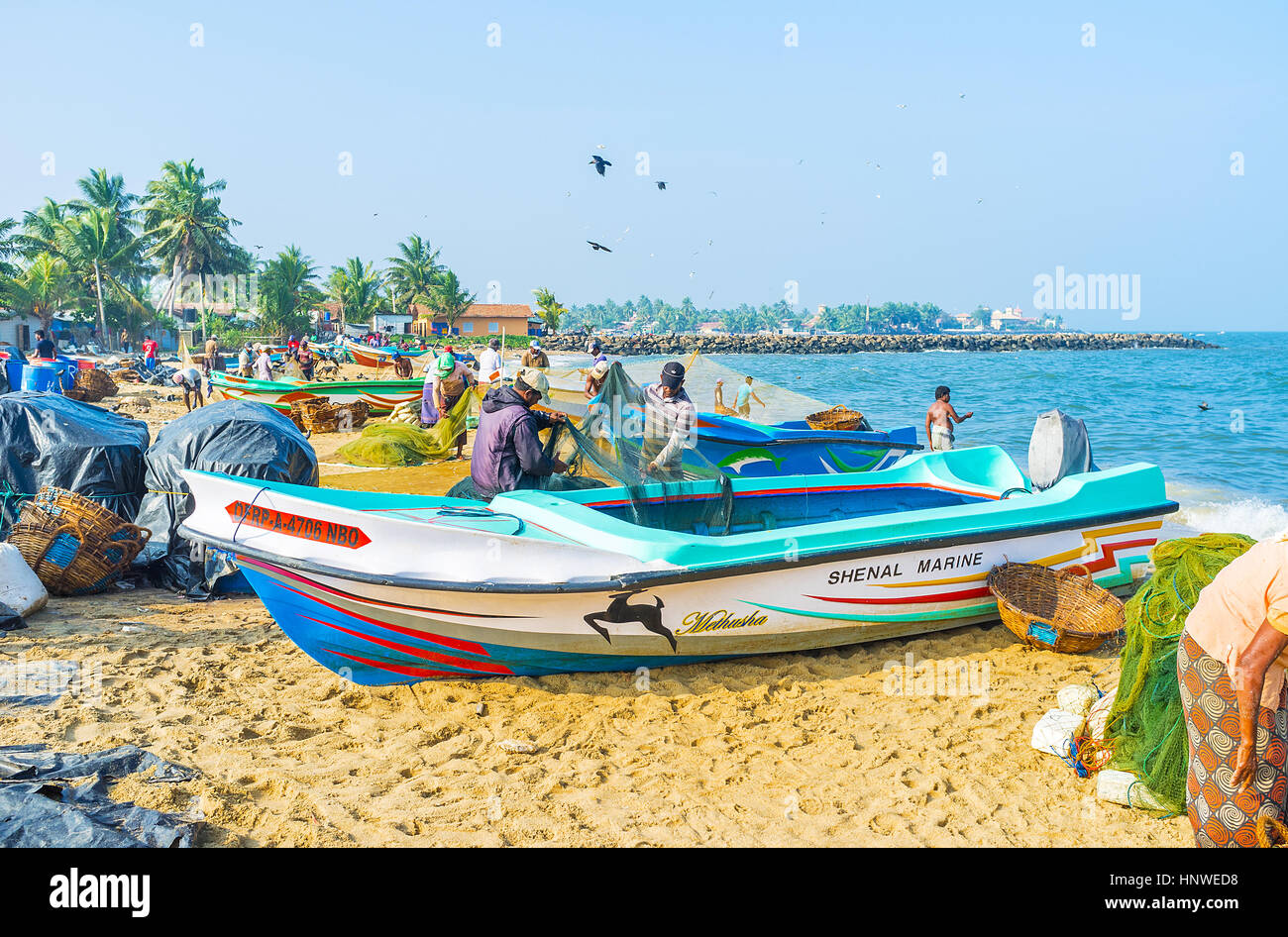 NEGOMBO, SRI LANKA - Novembre 25, 2016: i pescatori a lavorare dalla mattina presto, ogni giorno essi andare al mare per la vendita delle loro catture al mercato locale, Foto Stock