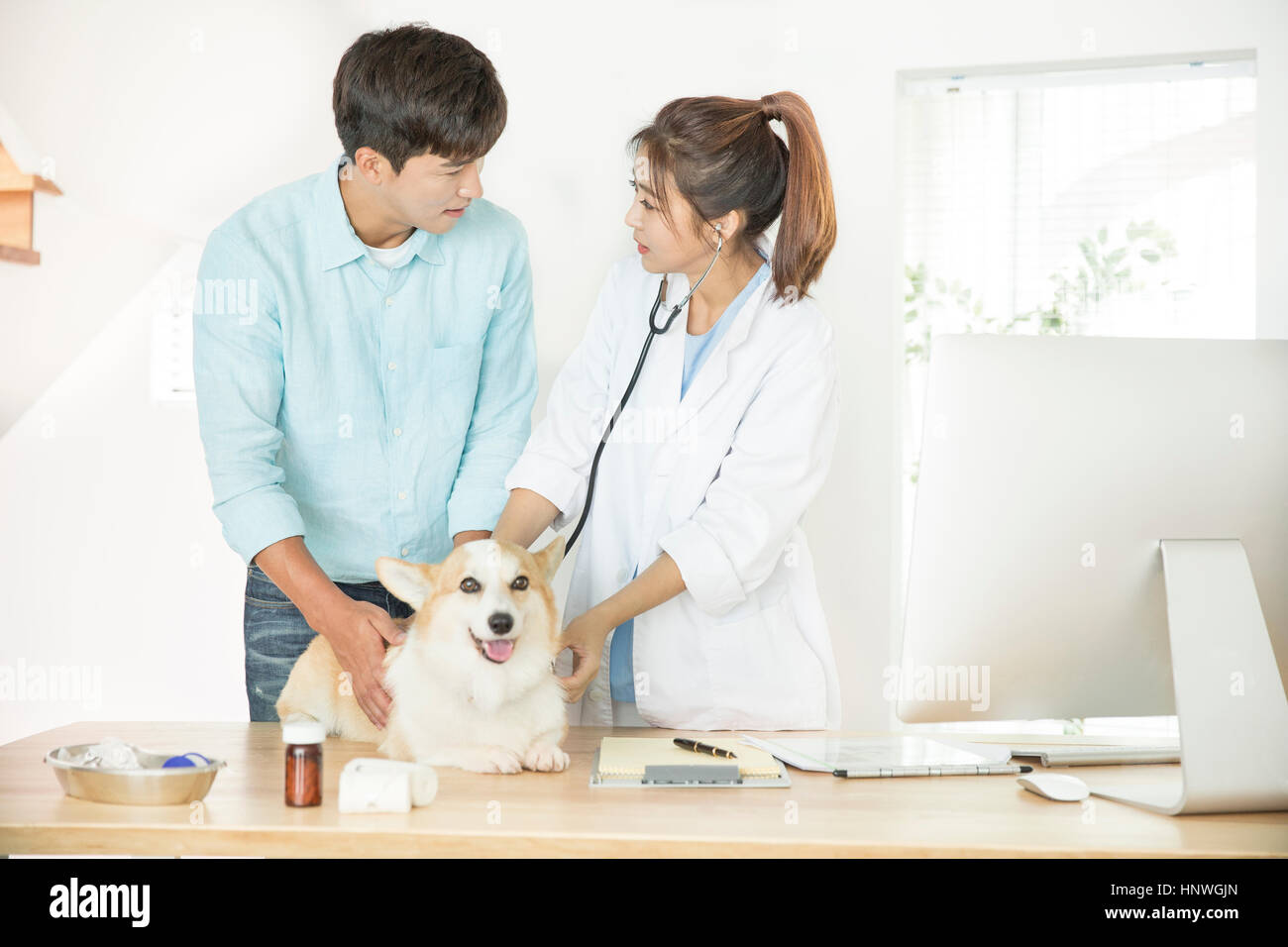 L'uomo visitando un vet con il suo animale domestico Foto Stock
