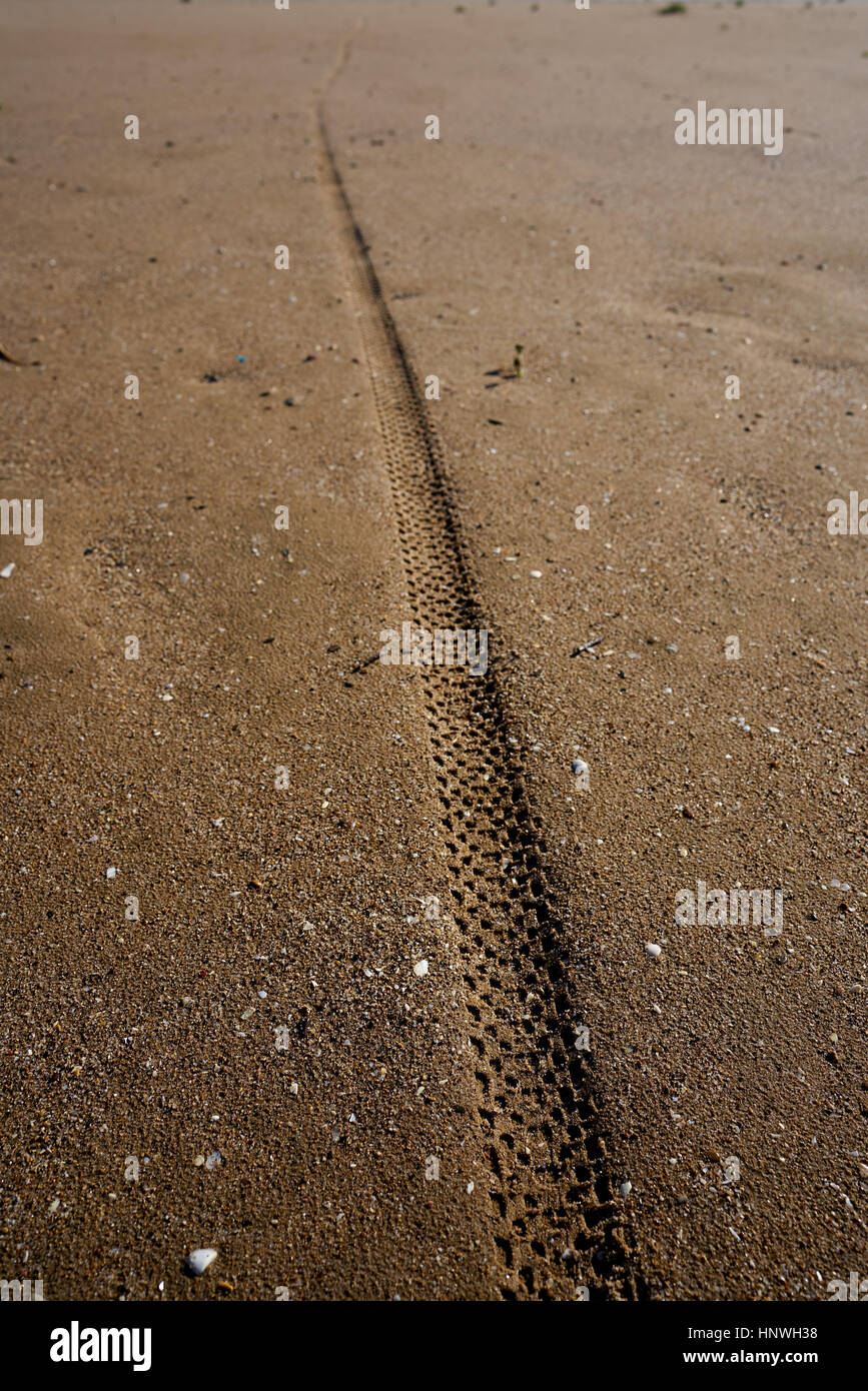 Pneumatico battistrada dei pneumatici stampa sulla spiaggia Sfondo sabbia Foto Stock