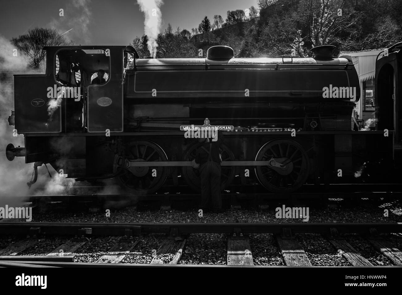 Patrimonio del treno a vapore Foto Stock