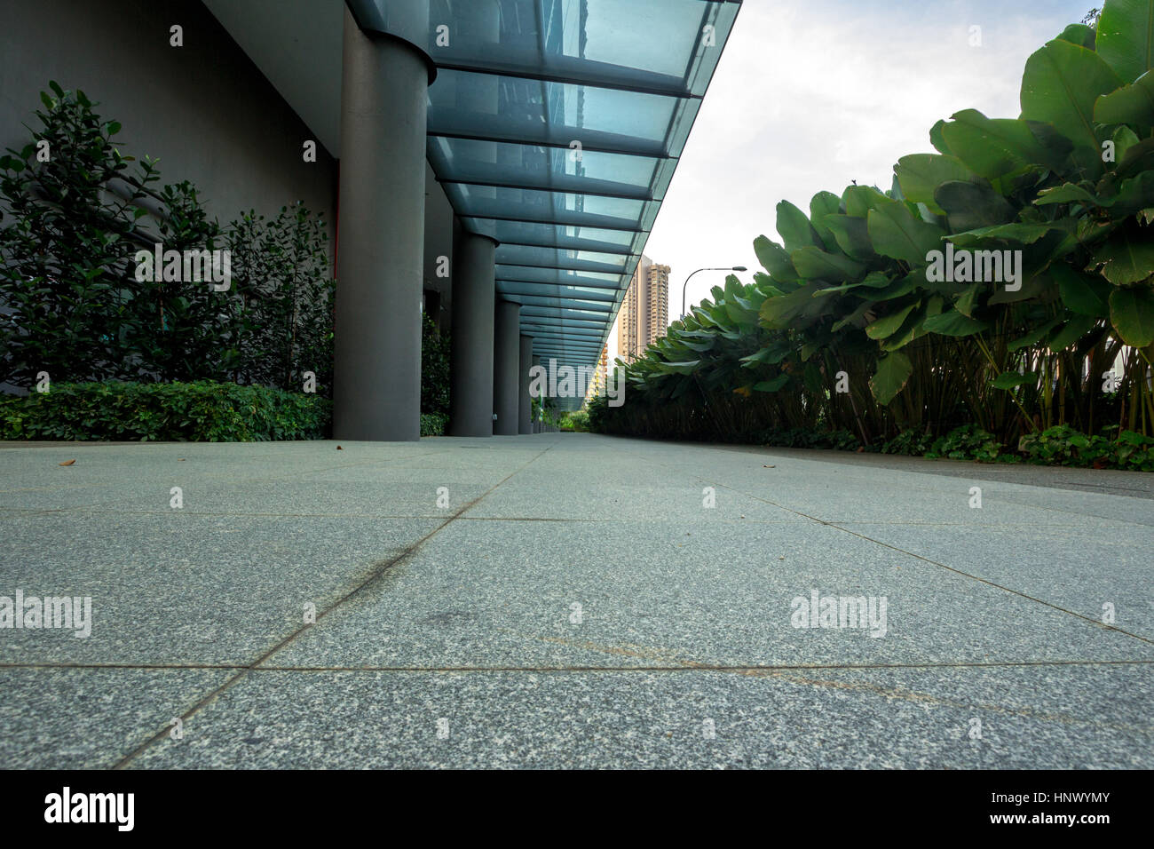 Mattina di Singapore Foto Stock