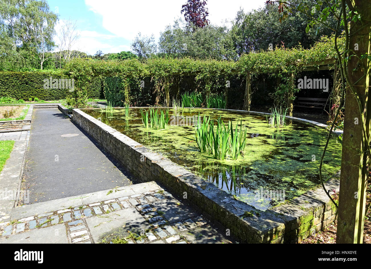 Piccolo e grazioso laghetto in St Anne's Park è un parco pubblico nella città di Dublino, Irlanda. Foto Stock