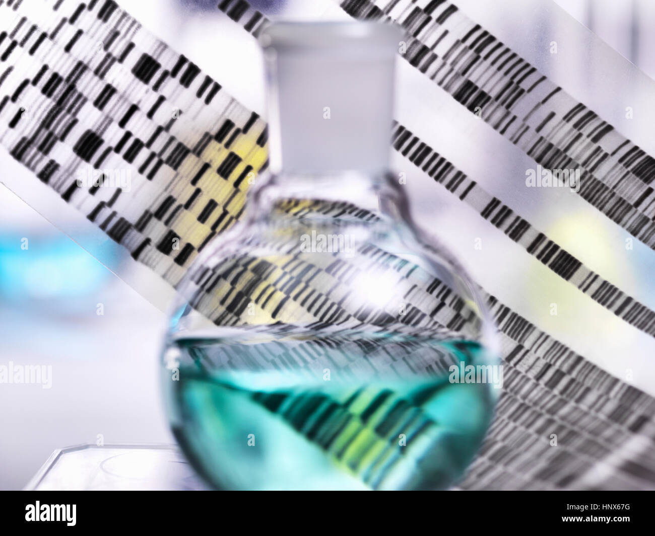 DNA gel autoradiogramma illustrante i risultati genetici con la vetreria di laboratorio Foto Stock