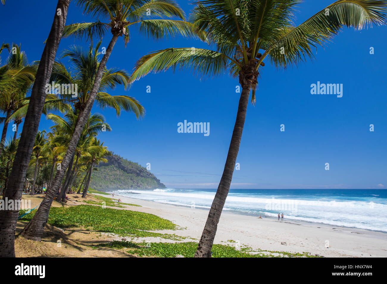 Paesaggio di spiaggia con palme e Oceano Indiano, Isola di Reunion Foto Stock