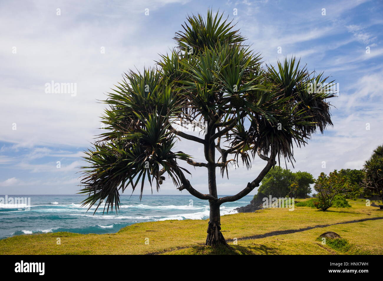 Il paesaggio costiero e Oceano Indiano, Isola di Reunion Foto Stock