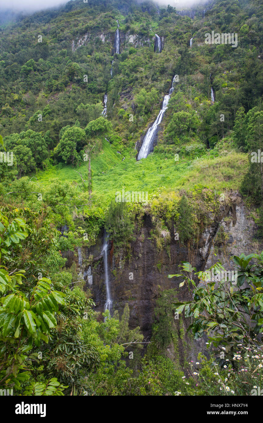 Vista in elevazione della foresta pluviale di montagna cascata, Isola di Reunion Foto Stock