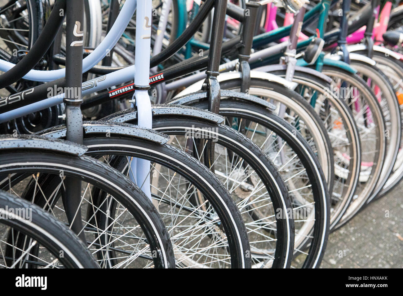 Scena di strada di bici ad Amsterdam, in Olanda. Foto Stock