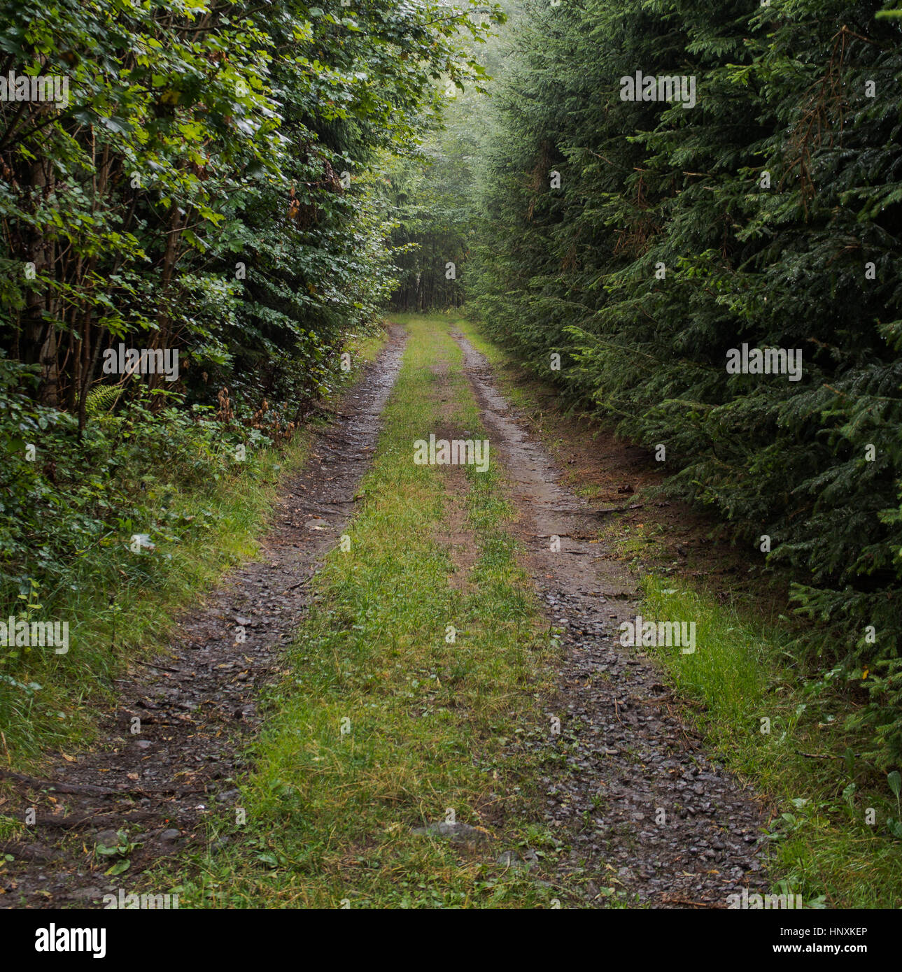 Camminata senza meta immagini e fotografie stock ad alta risoluzione - Alamy