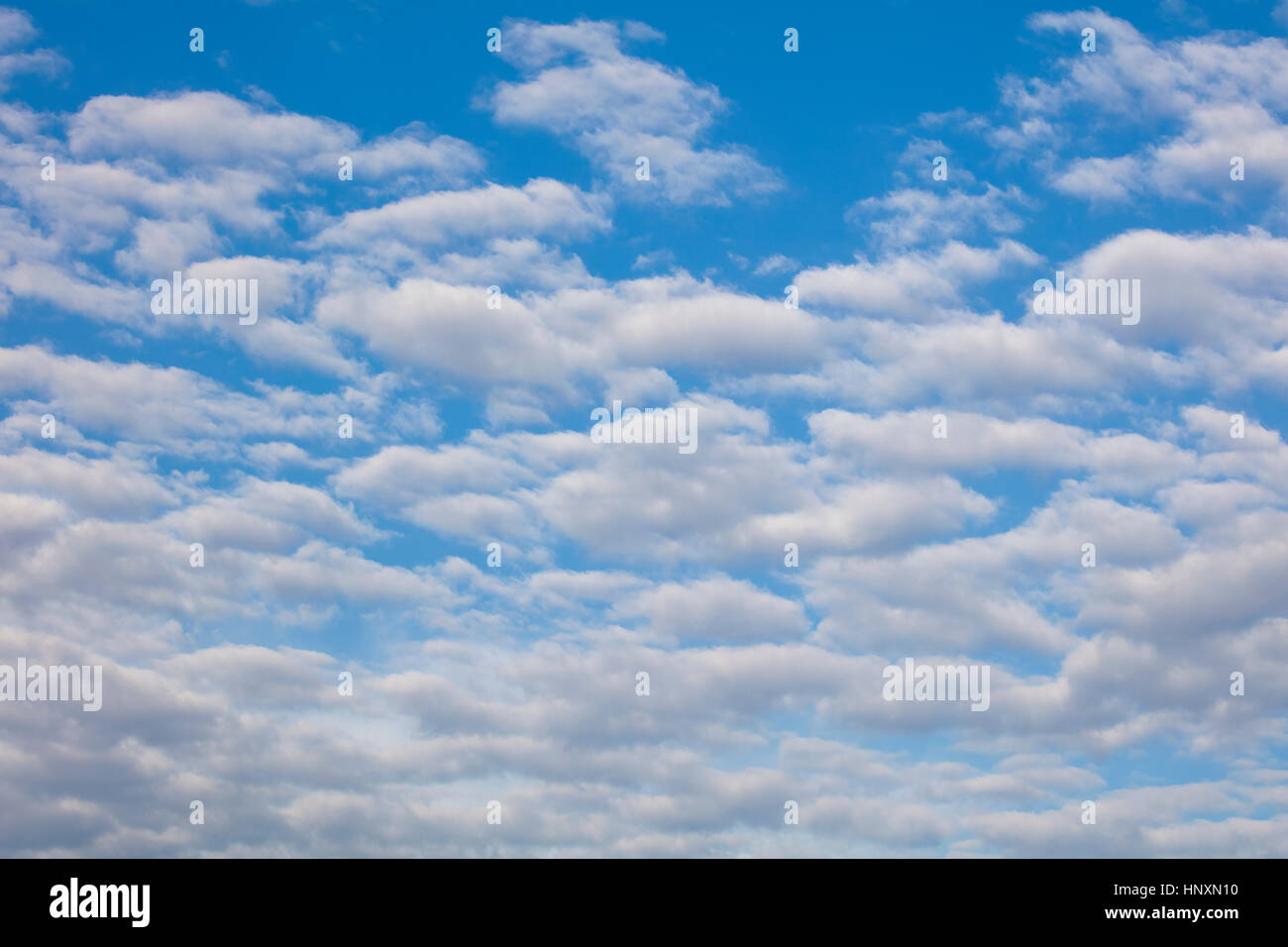 Blu cielo con puffy nuvole bianche sopra Central Florida Foto Stock