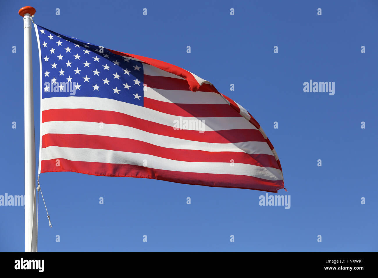 Noi battenti bandiera nel vento Foto Stock