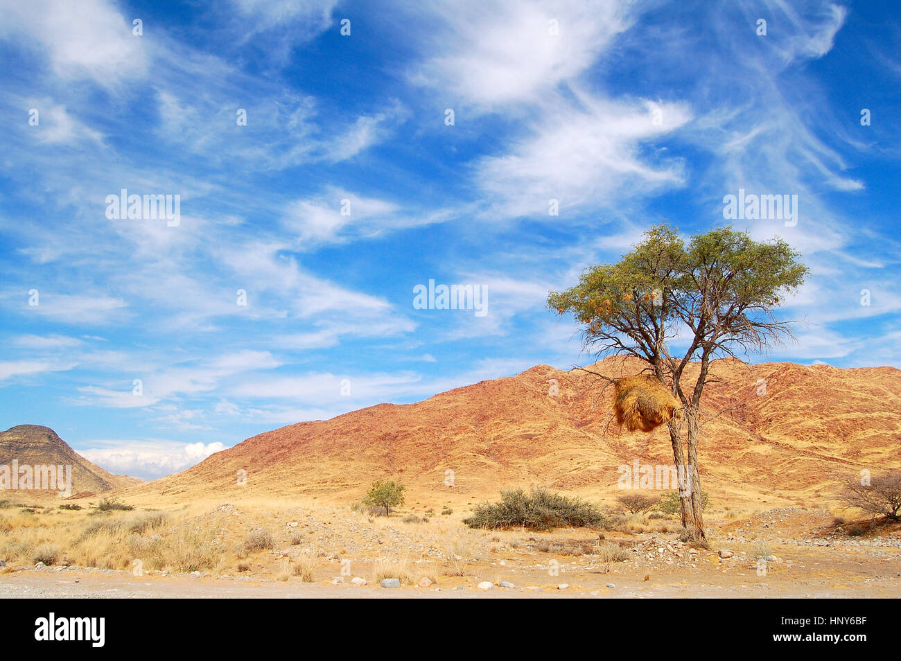 Tipico paesaggio nel deserto della Namibia Foto Stock