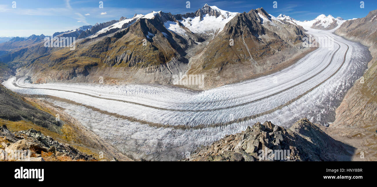 Una vista maestosa al ghiacciaio di Aletsch, il più grande gracier nelle Alpi e UNESCO herritage da Bettmeralp, Vallese, Svizzera, Europa Foto Stock