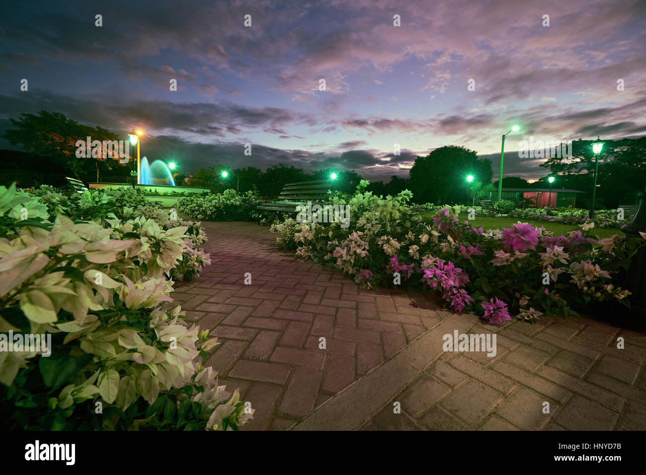 Parco con fiori e panca in sunset Leon Nicaragua Foto Stock